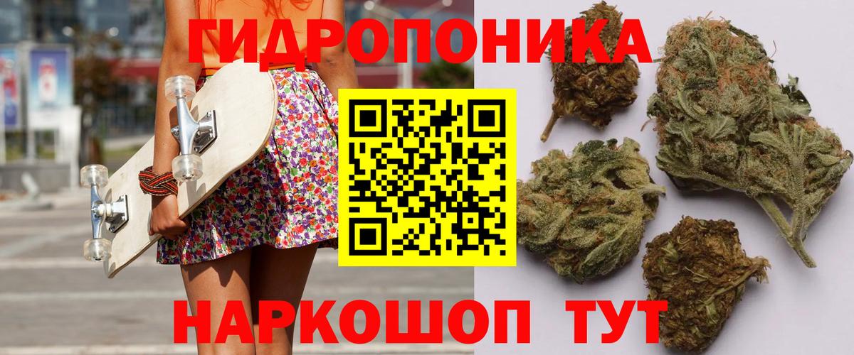 Шишки марихуана VHQ  Марихуана планчик  Кохма  Вход с VPN  Конопля OG Kush 