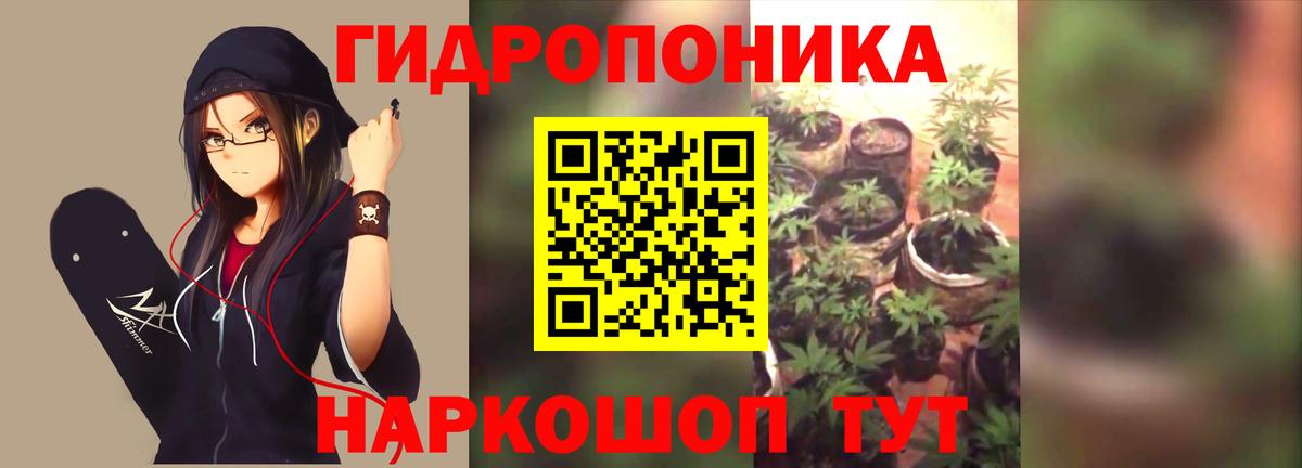 Марихуана гибрид Кохма